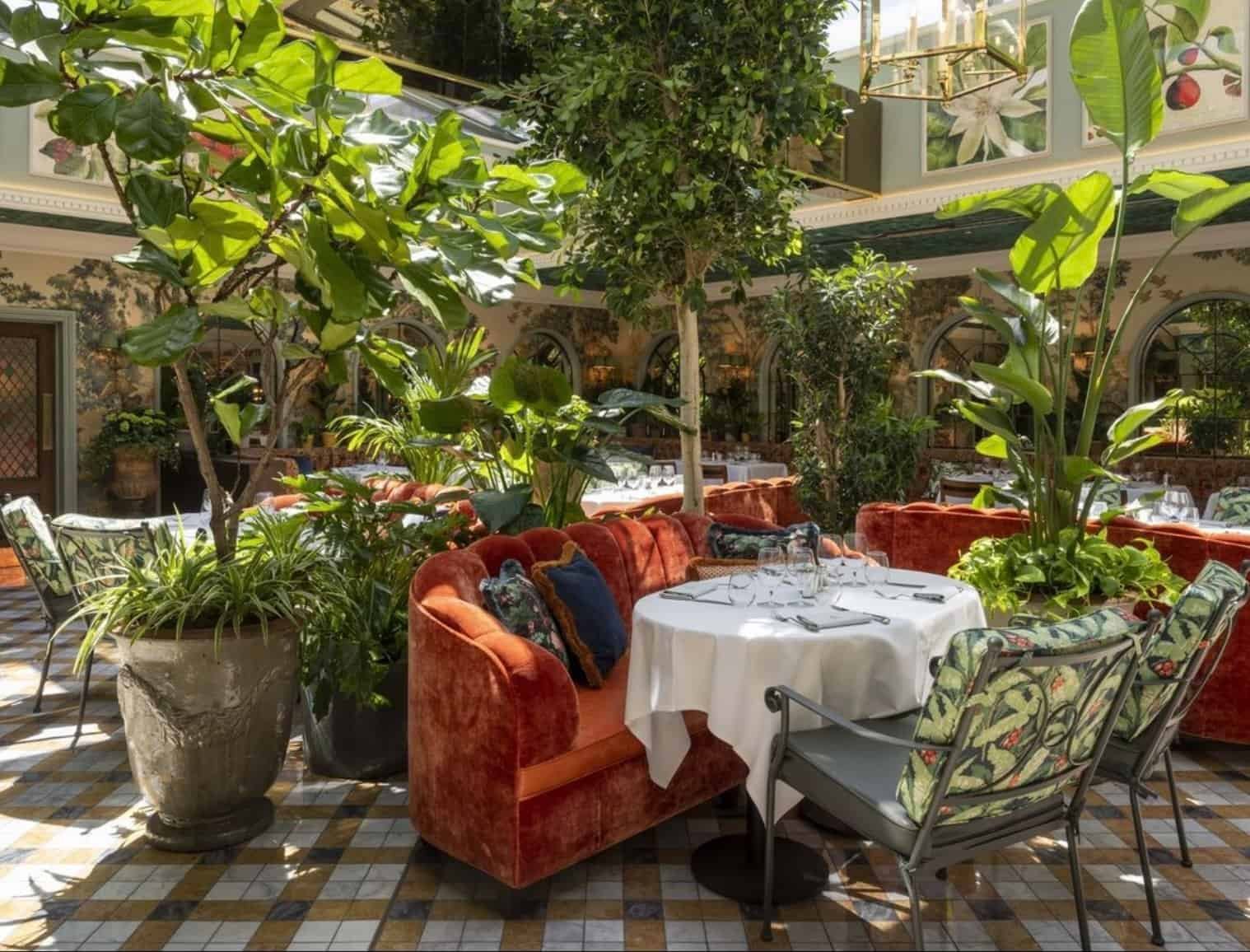 The Ivy
